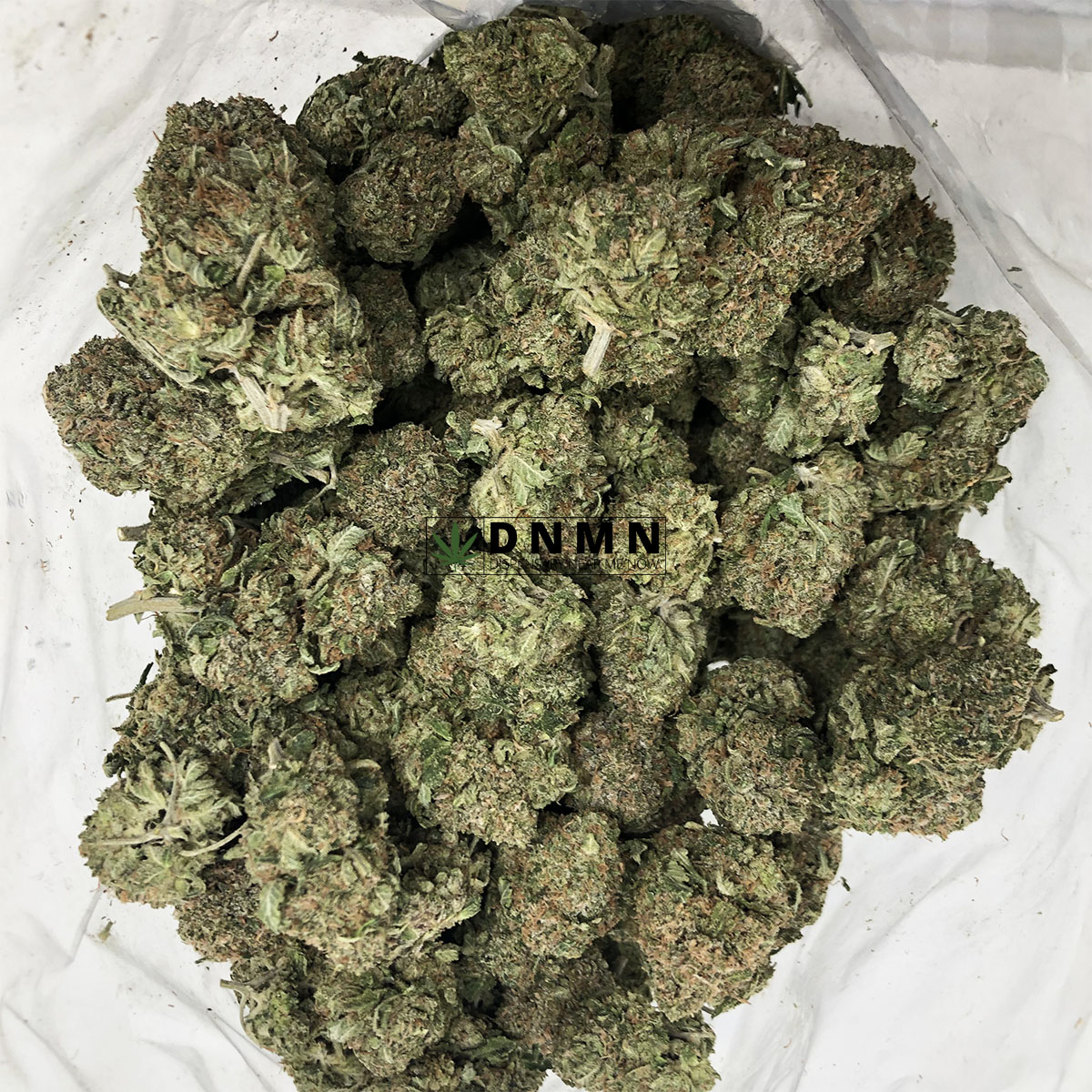 Romulan - Cheap Weed Canada - Dispensary Near Me Now