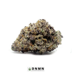 Purple Gas Mask - Buy Weed Online - Dispensary Near Me Now