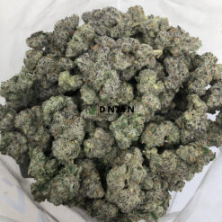 Gorilla Glue #4 - Cheap Weed Canada - Dispensary Near Me Now