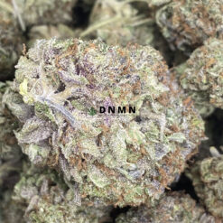 Pink Tuna - Online Dispensary Canada - Dispensary Near Me Now