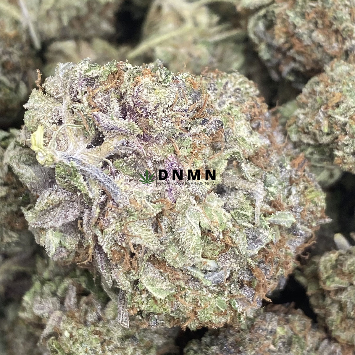Pink Tuna - Online Dispensary Canada - Dispensary Near Me Now