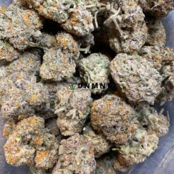 Gorilla Cake - Cheap Weed Canada - Dispensary Near Me Now