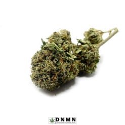 Master Kush - Buy Weed Online - Dispensary Near Me Now