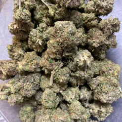 Master Kush - Cheap Weed Canada - Dispensary Near Me Now