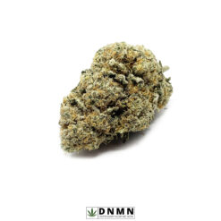 Sophia Breath - Buy Weed Online - Dispensary Near Me Now