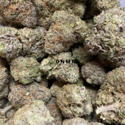 Thin Mint Girl Scout Cookies - Cheap Weed Canada - Dispensary Near Me Now