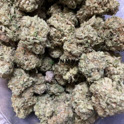Tropic Thunder - Cheap Weed Canada - Dispensary Near Me Now