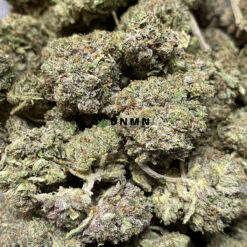 UBC Chemo - Online Dispensary Canada - Dispensary Near Me Now