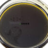 Rockstar Terp Sauce - Buy Weed Online - Dispensary Near Me Now