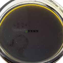 Rockstar Terp Sauce - Buy Weed Online - Dispensary Near Me Now
