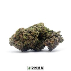 Afghani Drifter Greybeard - Buy Weed Online - Dispensary Near Me Now