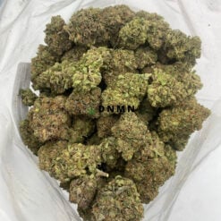 Afghani Drifter Greybeard - Cheap Weed Canada - Dispensary Near Me Now