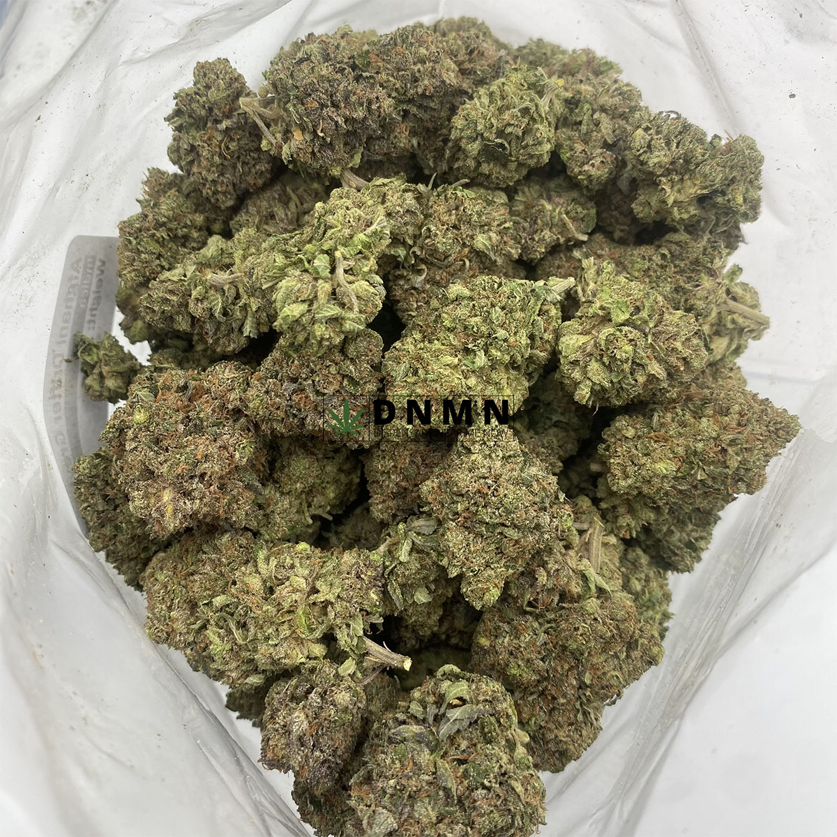 Afghani Drifter Greybeard - Cheap Weed Canada - Dispensary Near Me Now