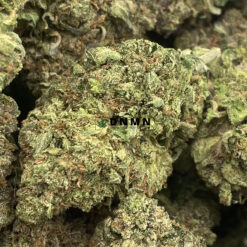 Afghani Drifter Greybeard - Online Dispensary Canada - Dispensary Near Me Now