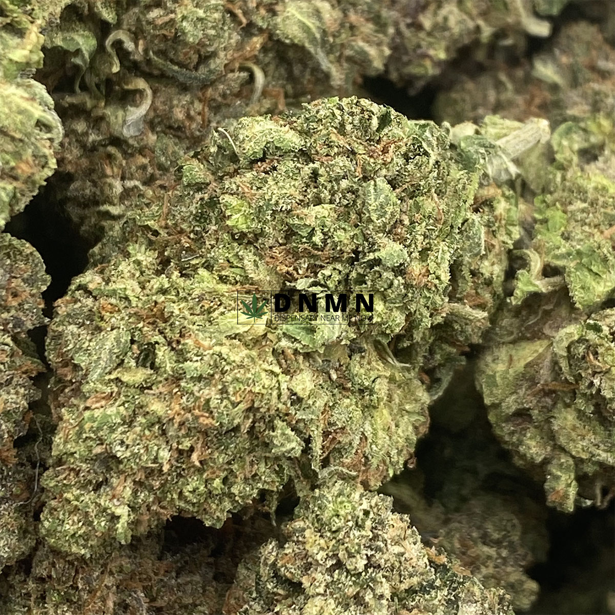 Afghani Drifter Greybeard - Online Dispensary Canada - Dispensary Near Me Now