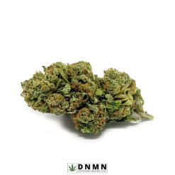 El Chapo - Buy Weed Online - Dispensary Near Me Now
