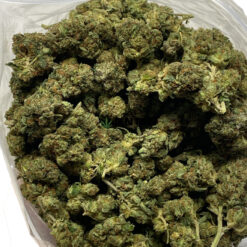 El Chapo - Cheap Weed Canada - Dispensary Near Me Now
