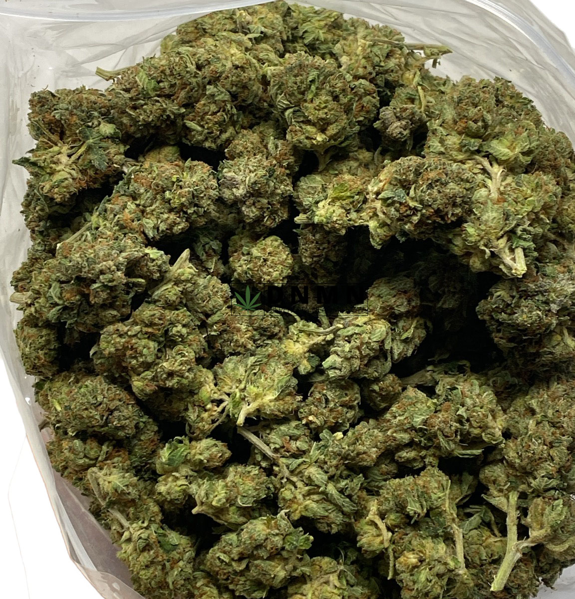 El Chapo - Cheap Weed Canada - Dispensary Near Me Now