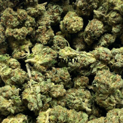 El Chapo - Online Dispensary Canada - Dispensary Near Me Now