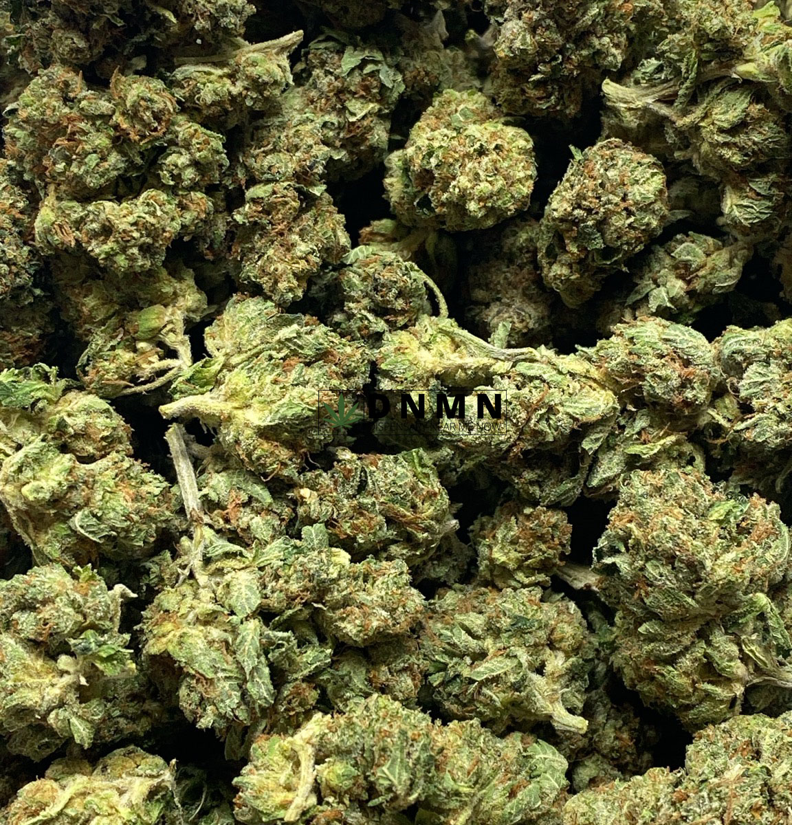 El Chapo - Online Dispensary Canada - Dispensary Near Me Now
