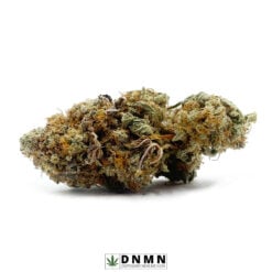 Mac 10 - Buy Weed Online - Dispensary Near Me Now