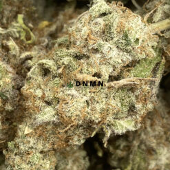 Mac 10 - Online Dispensary Canada - Dispensary Near Me Now