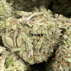Acapulco Gold - Online Dispensary Canada - Dispensary Near Me Now