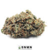 GMO Cookies - Buy Weed Online - Dispensary Near Me Now