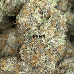 Purple Diesel - Online Dispensary Canada - Dispensary Near Me Now