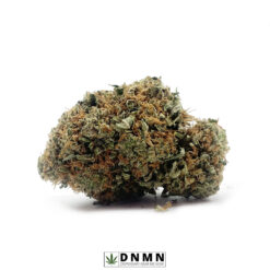Rockstar OG - Buy Weed Online - Dispensary Near Me Now