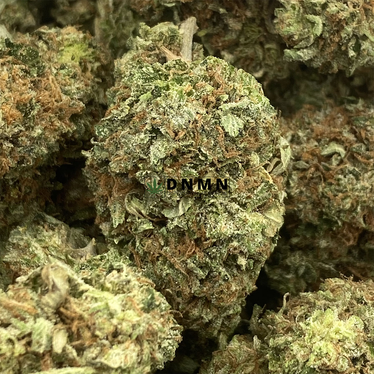 Rockstar OG - Online Dispensary Canada - Dispensary Near Me Now