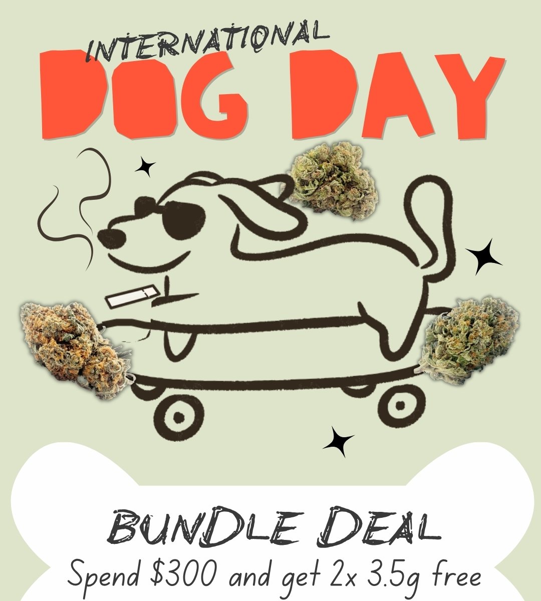 International Dog Day Sale Dispensary Near Me Now Sale Cheap Weeds bundle DEAL Spend $300 and get 2x 3.5g free