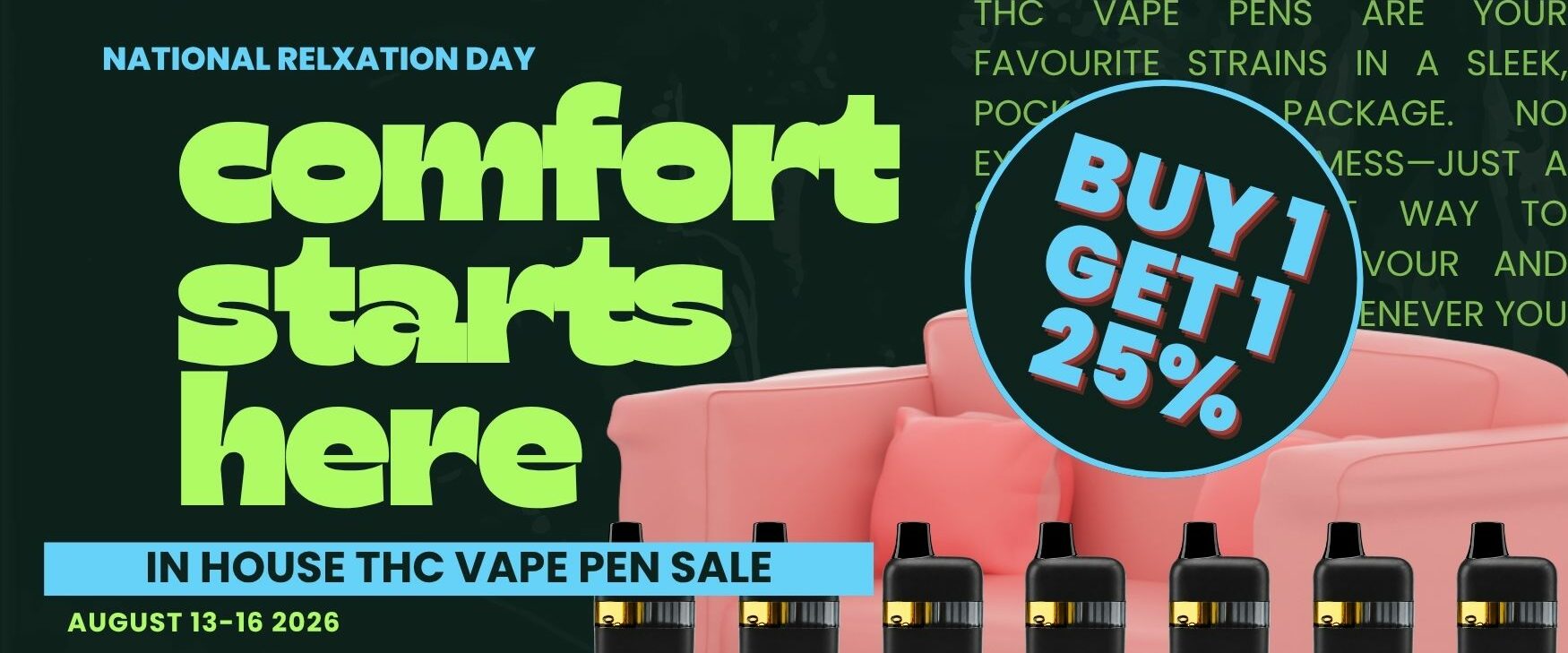 Comfort Starts here BOGO 25% DNMN VAPE PENS