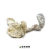 Atlantic Treasure Coast Magic Mushrooms - Buy Weed Online - Dispensary Near Me Now