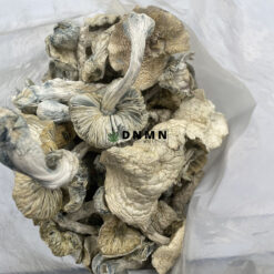Atlantic Treasure Coast Magic Mushrooms - Cheap Weed Canada - Dispensary Near Me Now