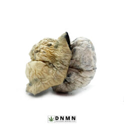 Blue Ghost Magic Mushrooms - Buy Weed Online - Dispensary Near Me Now
