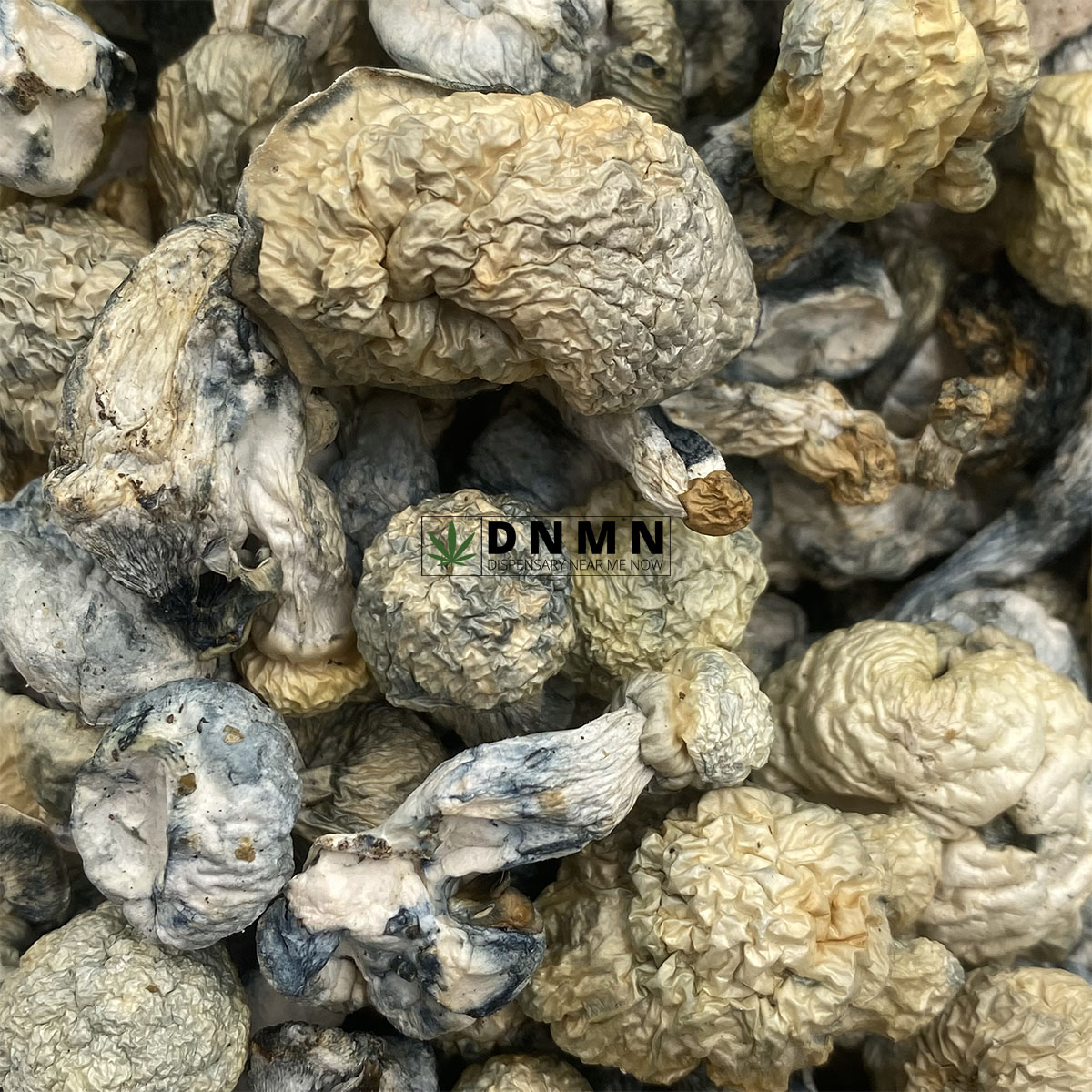 Blue Ghost Magic Mushrooms - Online Dispensary Canada - Dispensary Near Me Now