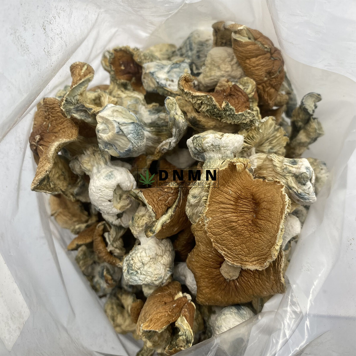 Full Moon Party Magic Mushrooms - Cheap Weed Canada - Dispensary Near Me Now