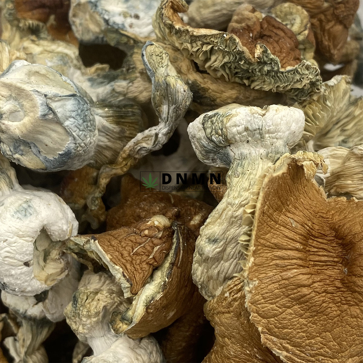 Full Moon Party Magic Mushrooms - Online Dispensary Canada - Dispensary Near Me Now