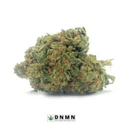 God Bud - Buy Weed Online - Dispensary Near Me Now