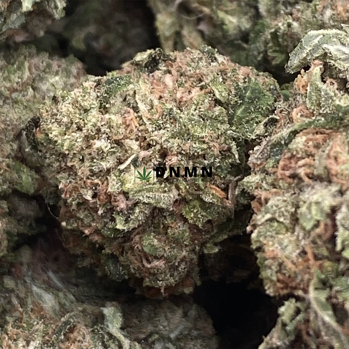 God Bud - Online Dispensary Canada - Dispensary Near Me Now