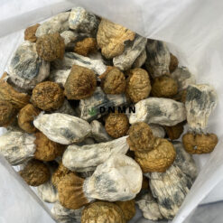 Golden Penis Envy Magic Mushrooms - Cheap Weed Canada - Dispensary Near Me Now