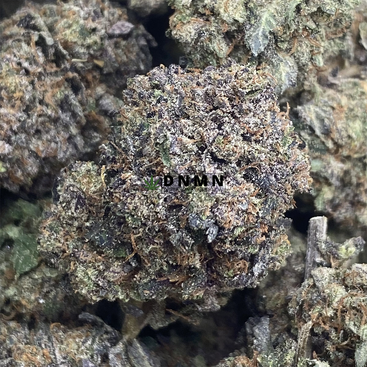 Grizzly Purple Kush - Online Dispensary Canada - Dispensary Near Me Now
