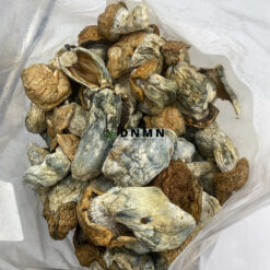 Koh Samuoi Magic Mushrooms - Cheap Weed Canada - Dispensary Near Me Now