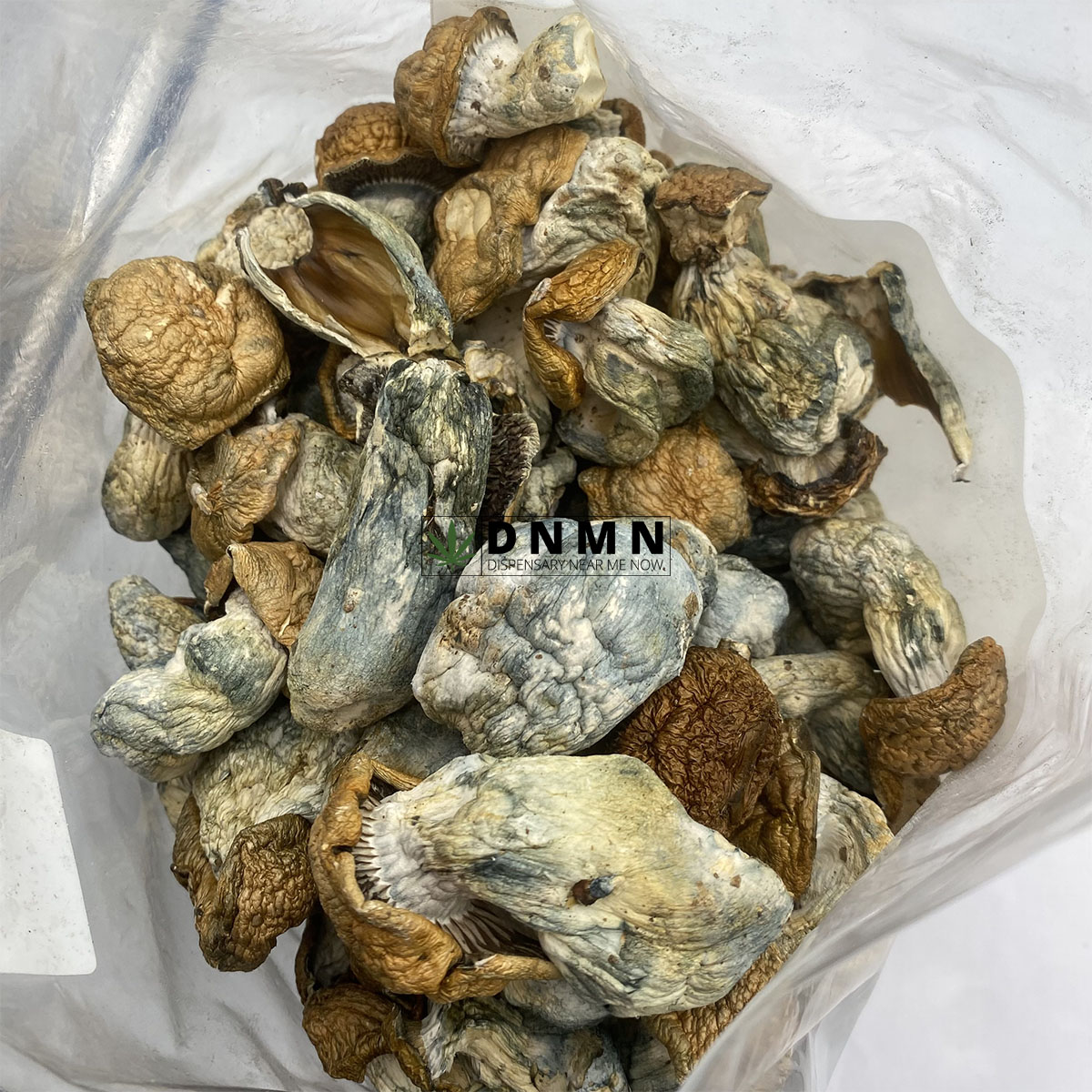 Koh Samuoi Magic Mushrooms - Cheap Weed Canada - Dispensary Near Me Now