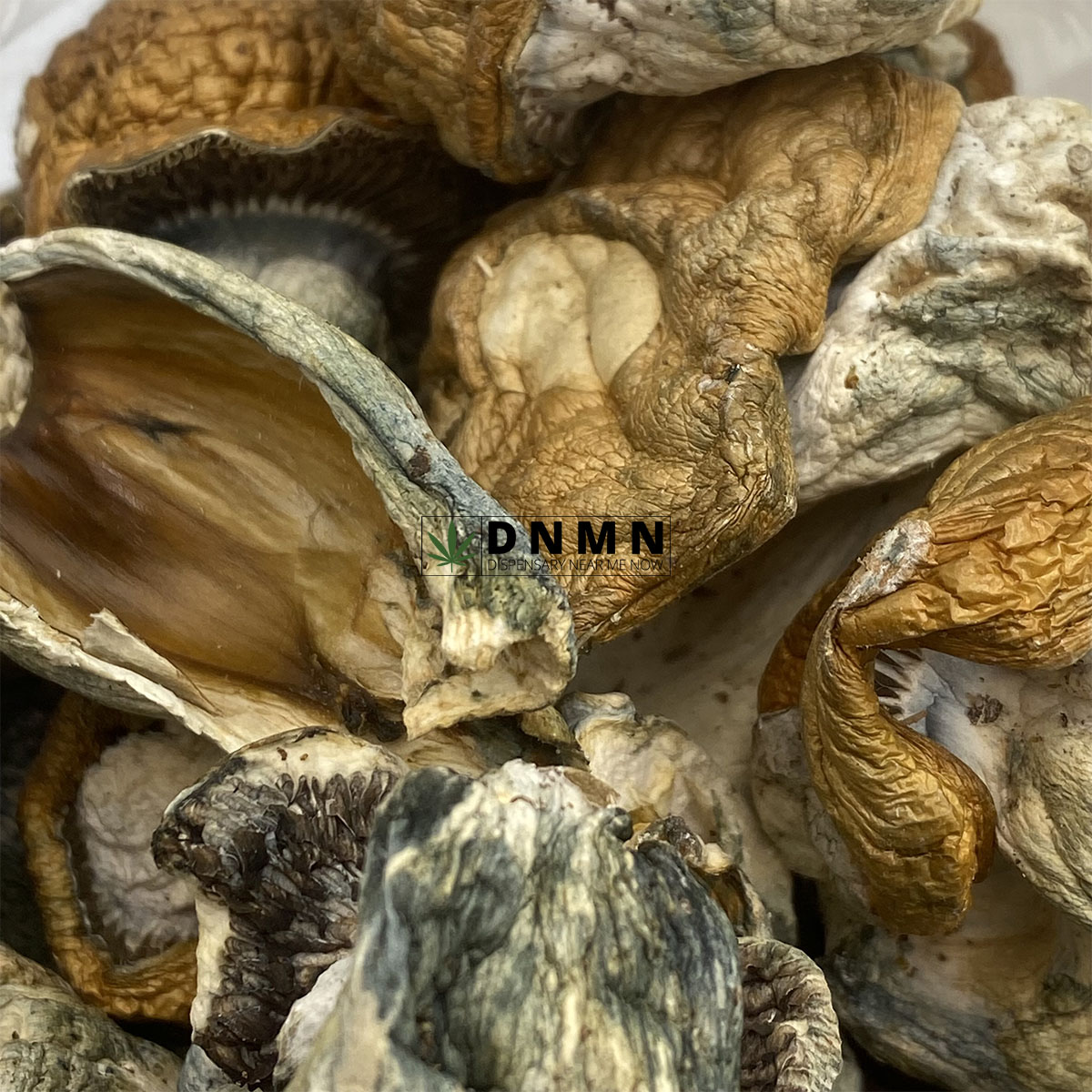 Koh Samuoi Magic Mushrooms - Online Dispensary Canada - Dispensary Near Me Now