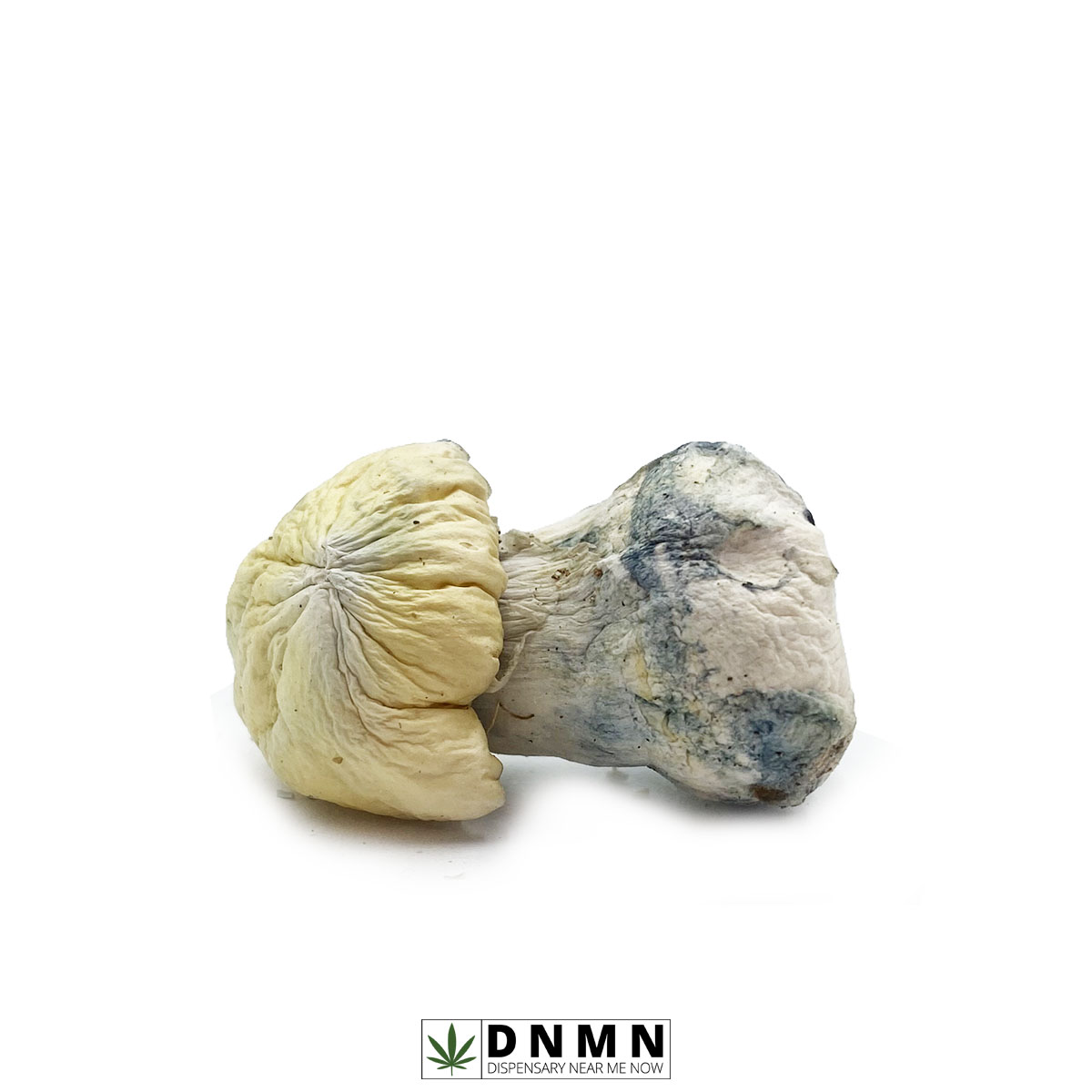 Pearly Gates Magic Mushrooms - Buy Weed Online - Dispensary Near Me Now