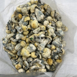 Pearly Gates Magic Mushrooms - Cheap Weed Canada - Dispensary Near Me Now