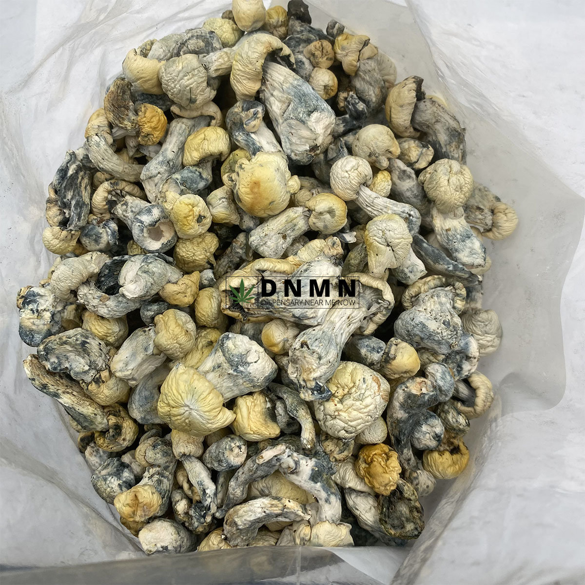 Pearly Gates Magic Mushrooms - Cheap Weed Canada - Dispensary Near Me Now