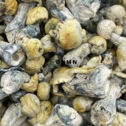 Pearly Gates Magic Mushrooms - Online Dispensary Canada - Dispensary Near Me Now
